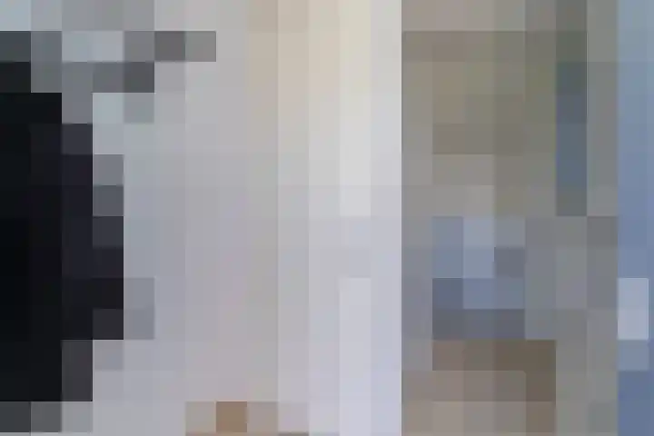 Parkzijde 87 Den Haag thumbnail 7