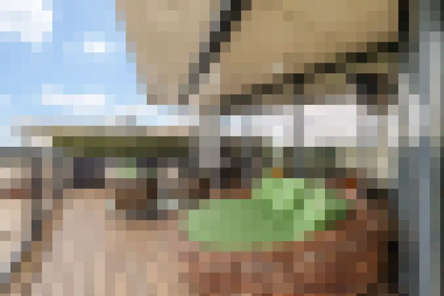 Parkzoom 123 Delft thumbnail 10