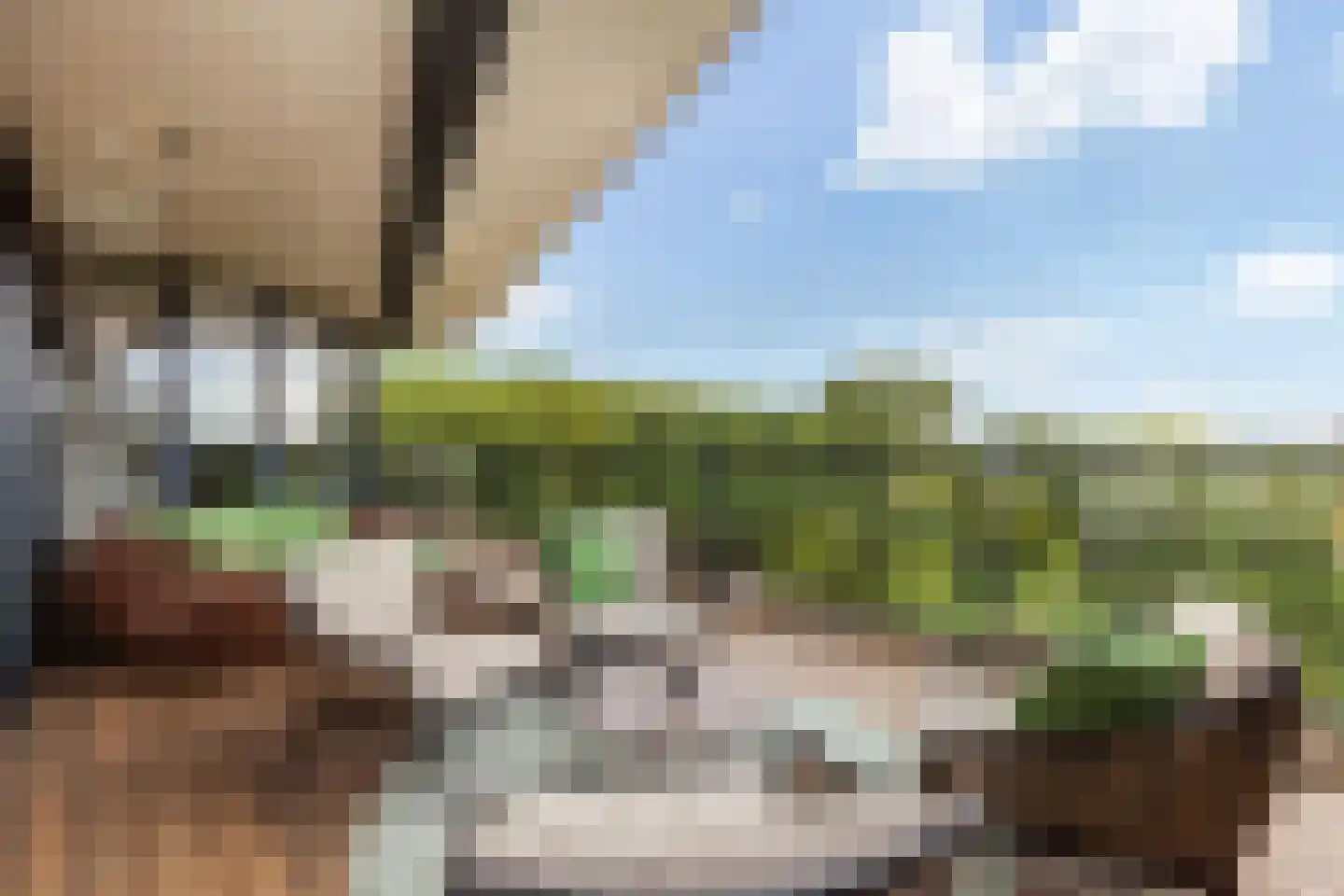 Parkzoom 123 Delft thumbnail 11
