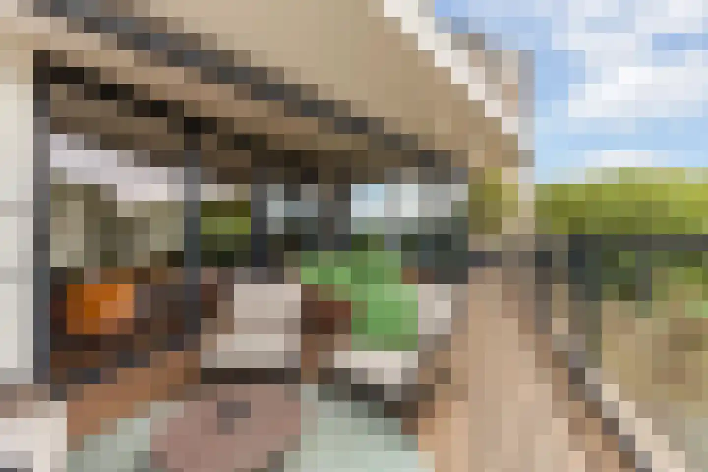 Parkzoom 123 Delft thumbnail 12