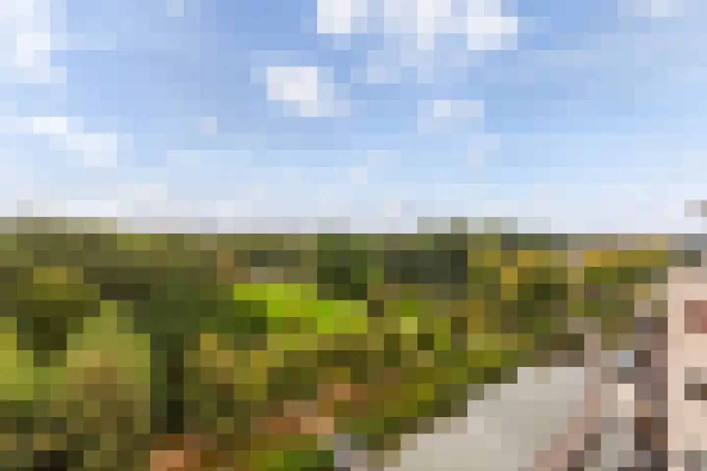 Parkzoom 123 Delft thumbnail 13