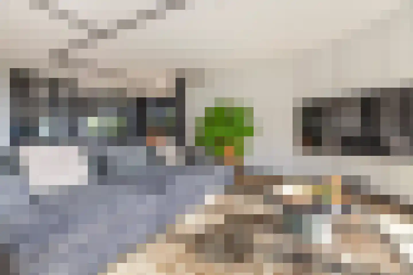 Parkzoom 123 Delft thumbnail 21