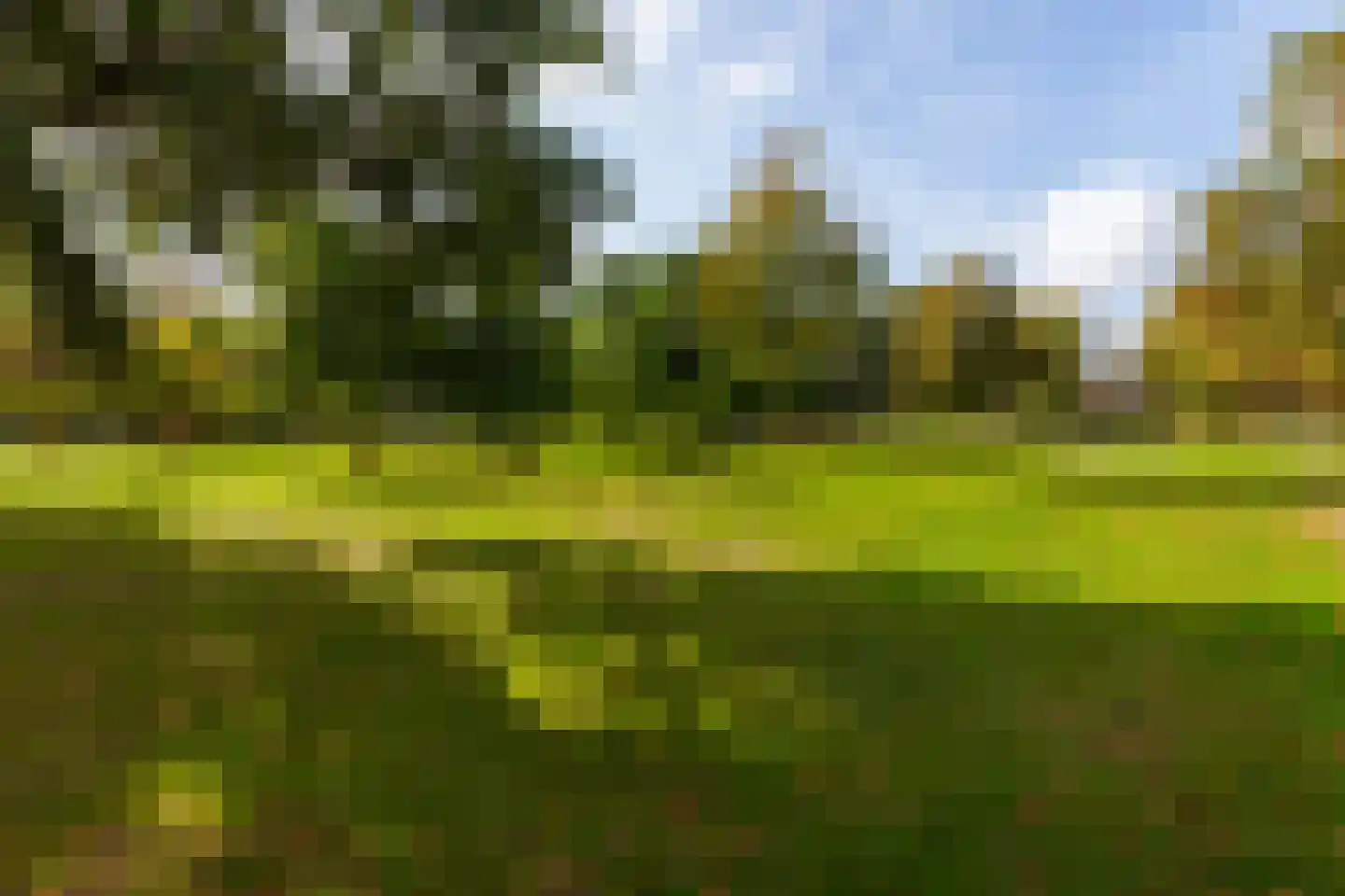 Parkzoom 123 Delft thumbnail 38