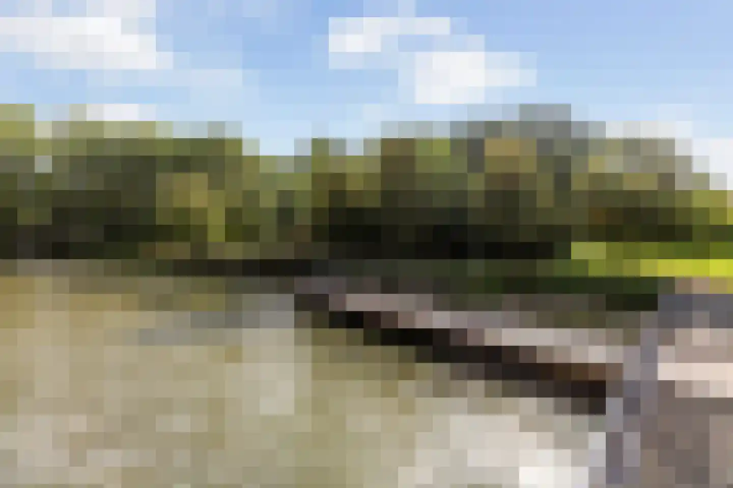 Parkzoom 123 Delft thumbnail 39