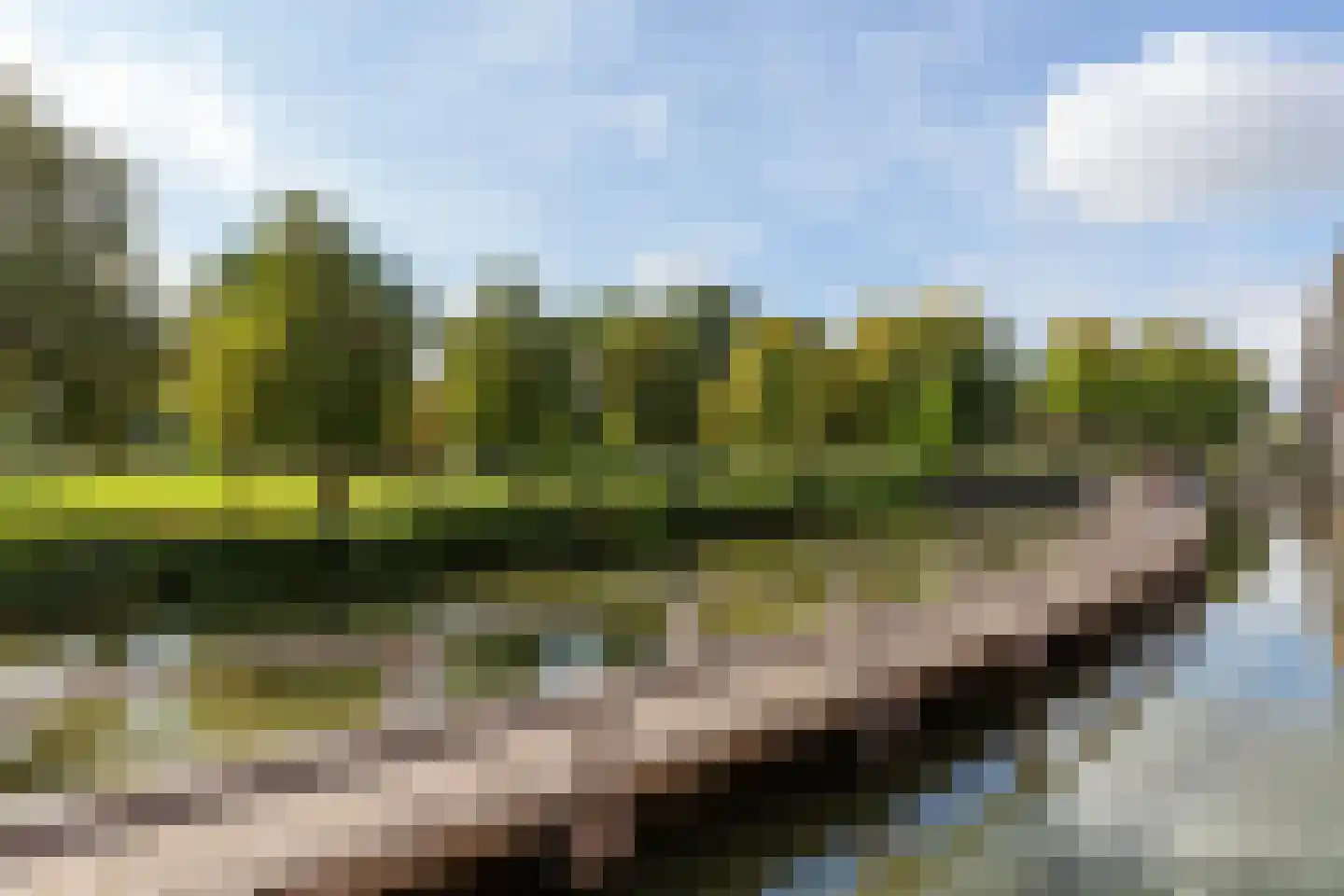 Parkzoom 123 Delft thumbnail 40