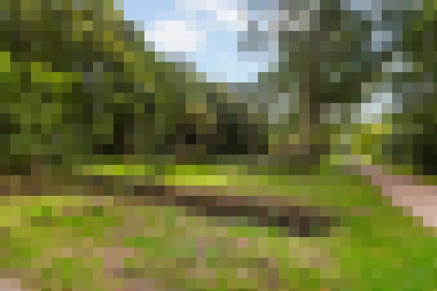 Parkzoom 123 Delft thumbnail 41