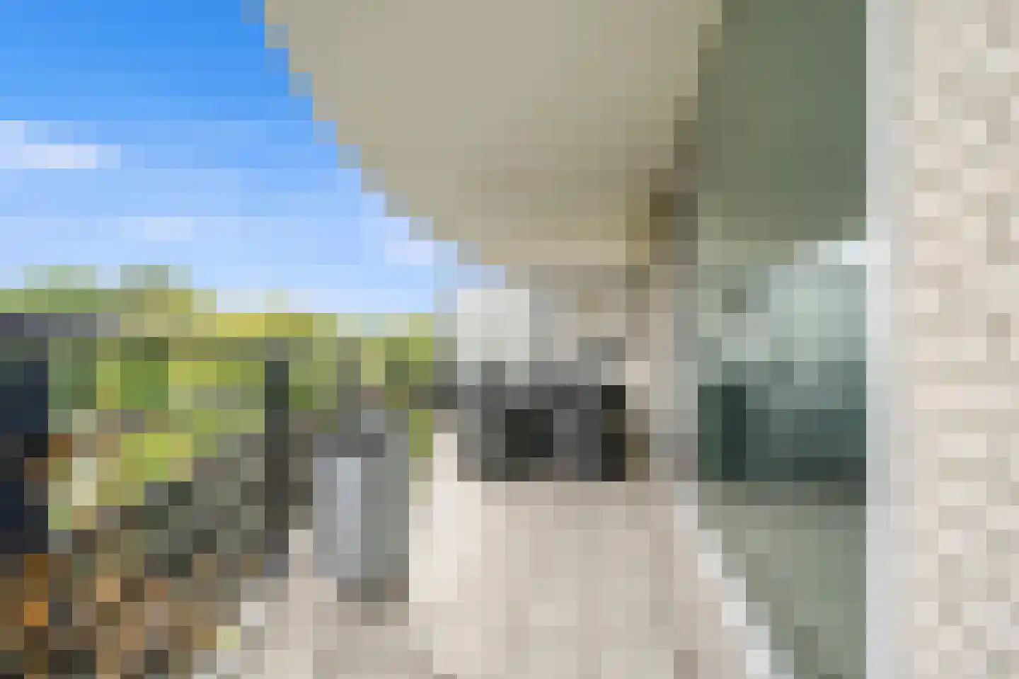 Parkzoom 159 Delft thumbnail 21