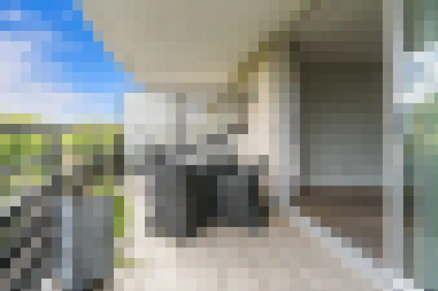 Parkzoom 159 Delft thumbnail 23