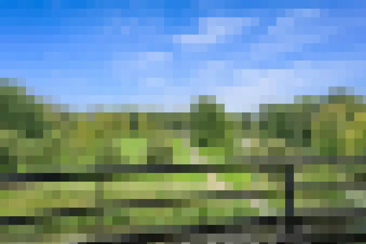 Parkzoom 159 Delft thumbnail 26