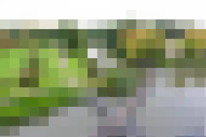 Parkzoom 169 Delft thumbnail 22