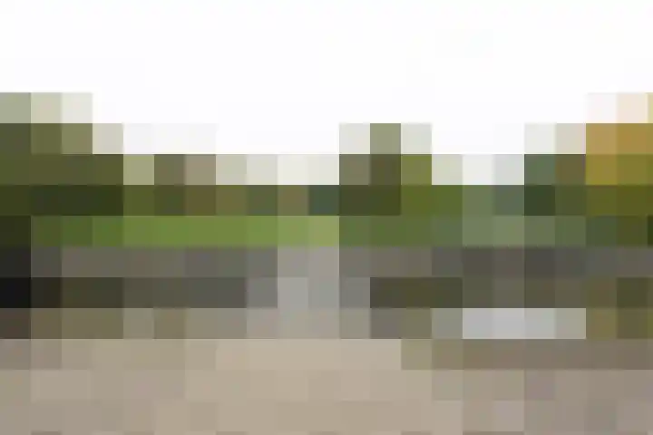 Parkzoom 169 Delft thumbnail 27