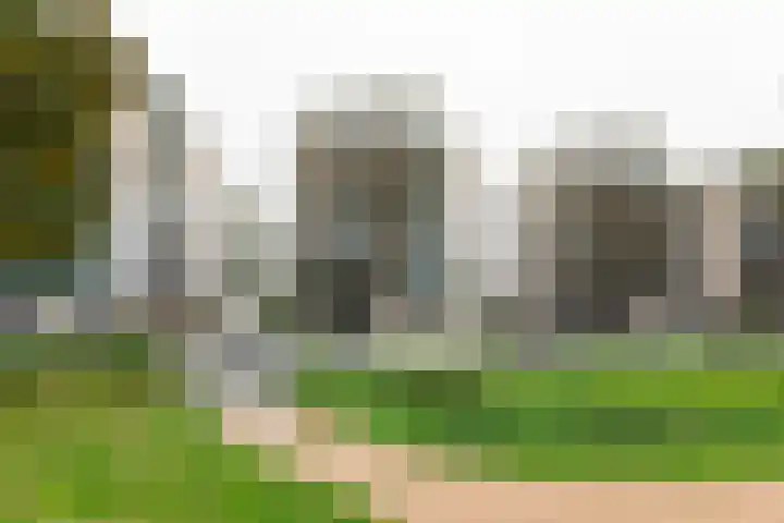 Parkzoom 169 Delft thumbnail 28