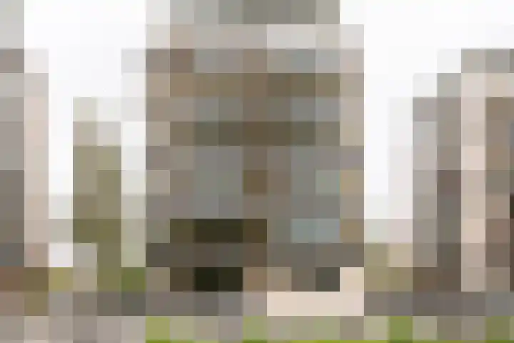 Parkzoom 169 Delft thumbnail 29