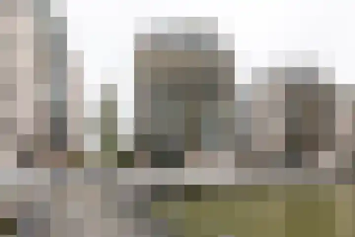 Parkzoom 169 Delft thumbnail 30