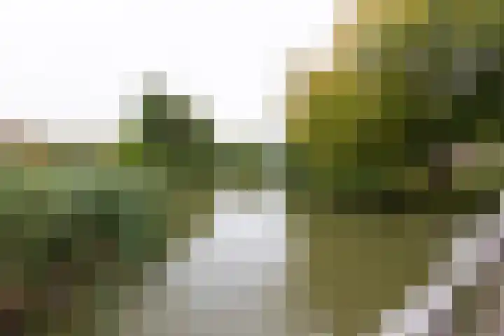 Parkzoom 169 Delft thumbnail 31