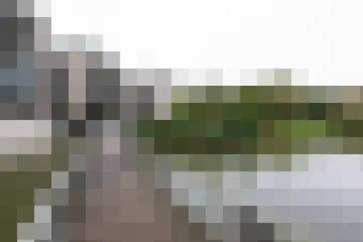 Parkzoom 169 Delft thumbnail 32