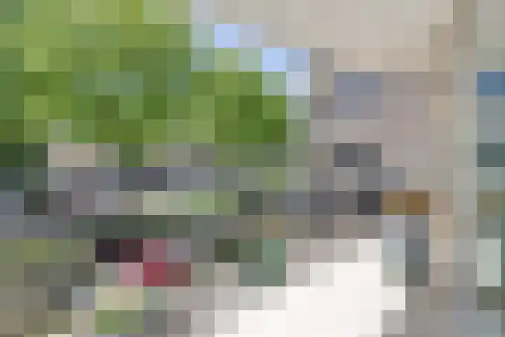 Parkzoom 225 Delft thumbnail 22