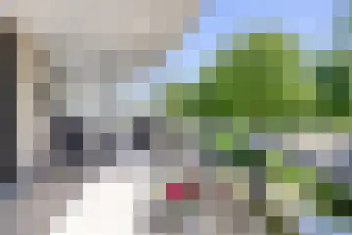 Parkzoom 225 Delft thumbnail 23