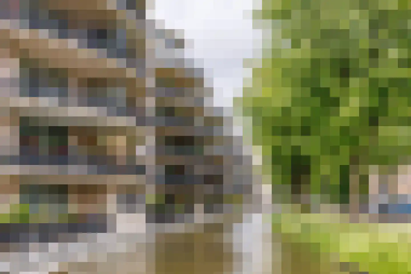 Parkzoom 233 Delft thumbnail 31