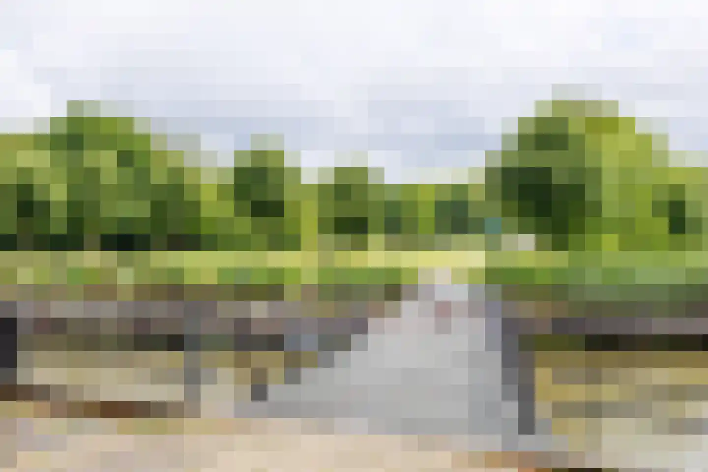 Parkzoom 233 Delft thumbnail 33