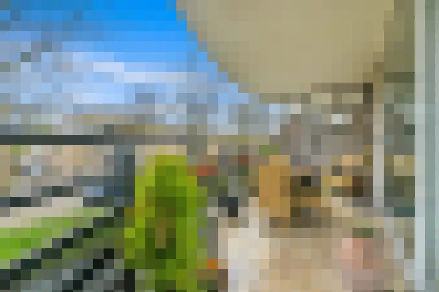 Parkzoom 247 Delft thumbnail 19