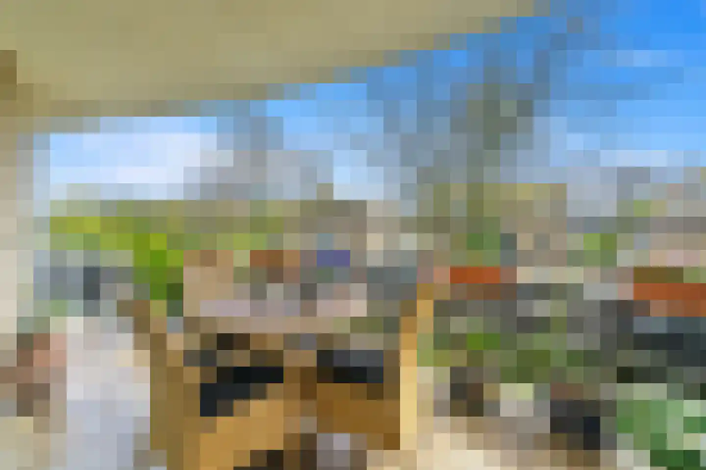 Parkzoom 247 Delft thumbnail 4