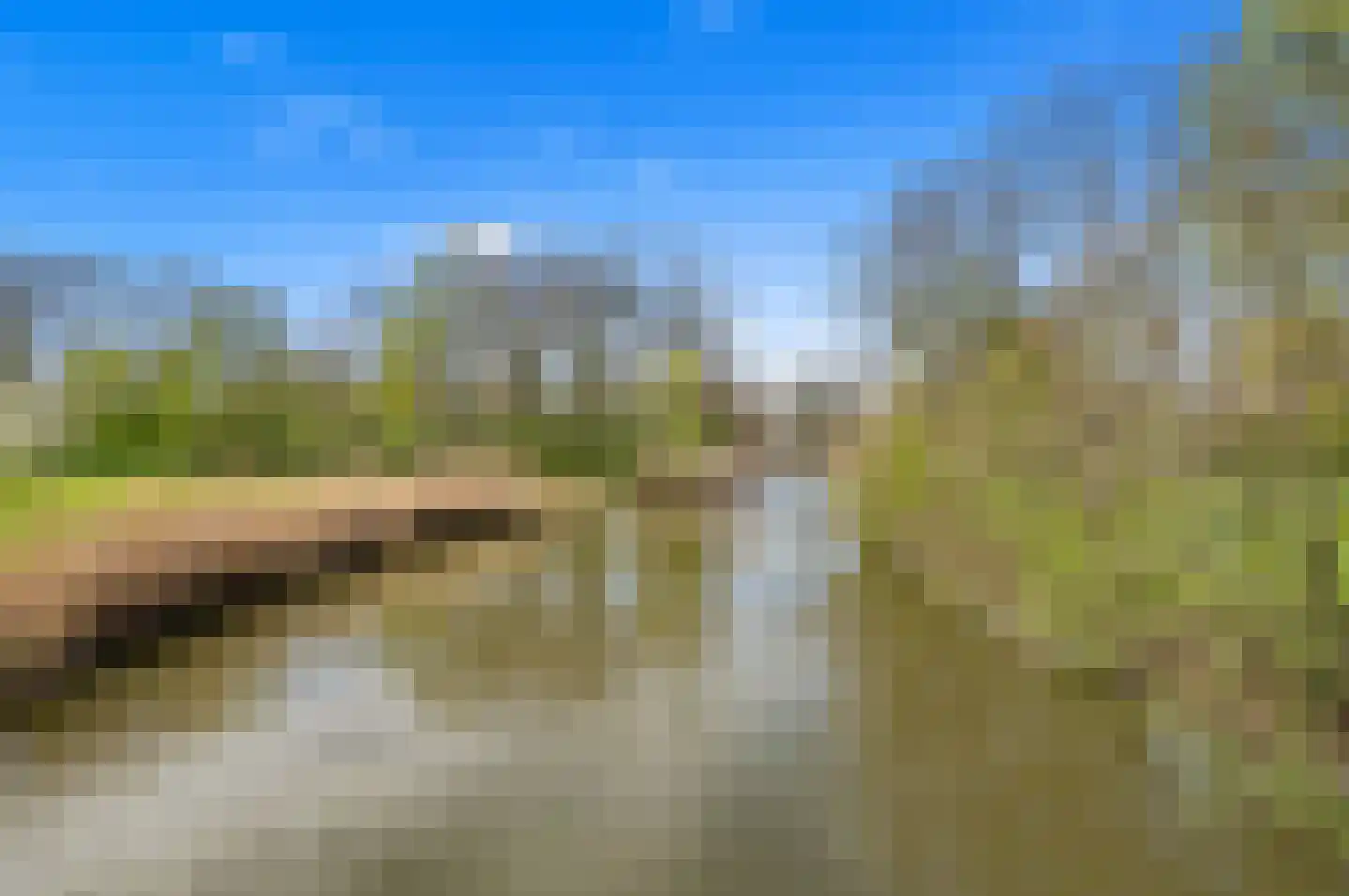Parkzoom 247 Delft thumbnail 42
