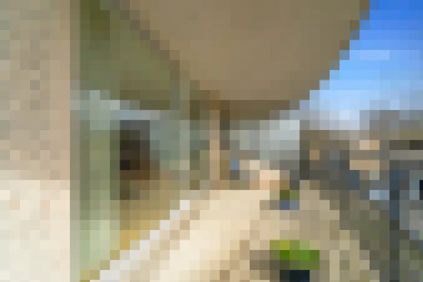 Parkzoom 301 Delft thumbnail 14