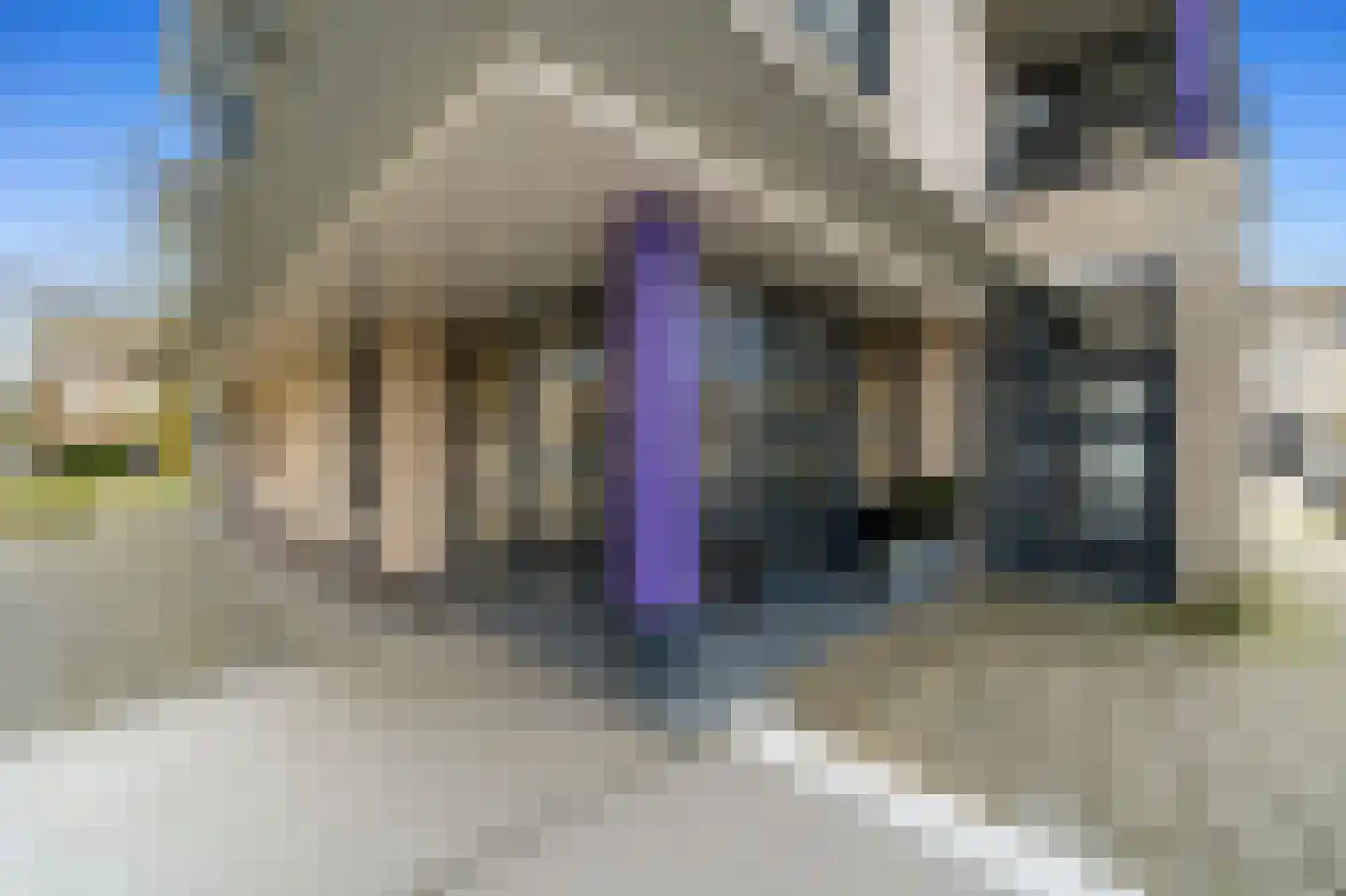 Parkzoom 301 Delft thumbnail 8