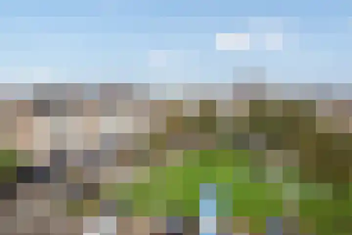 Parkzoom 305 Delft thumbnail 30