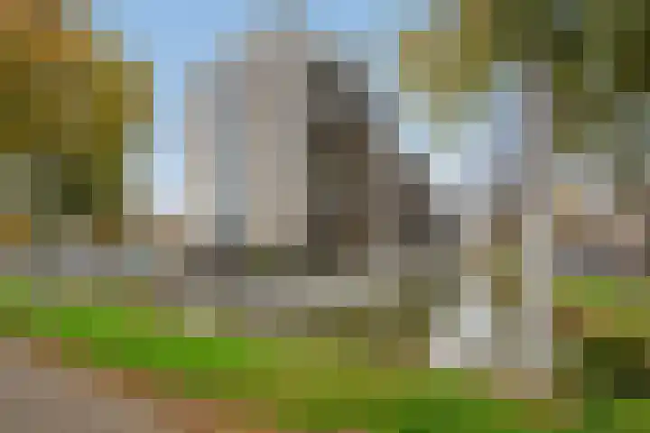 Parkzoom 305 Delft thumbnail 32