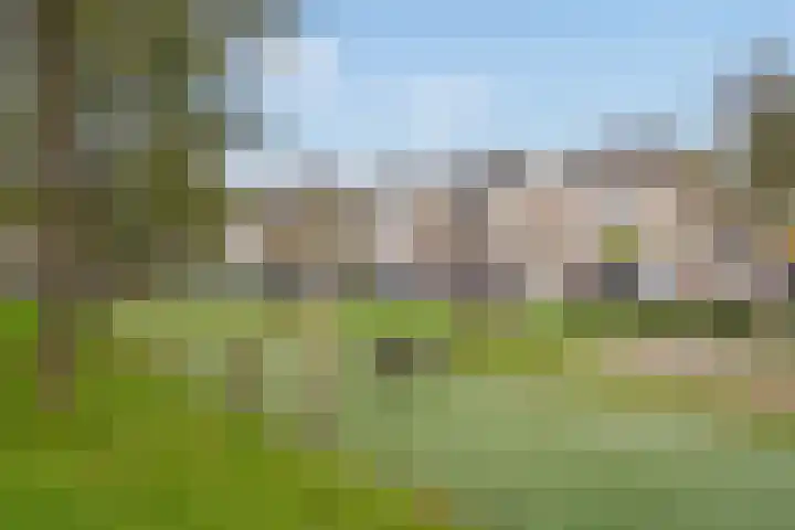 Parkzoom 305 Delft thumbnail 33