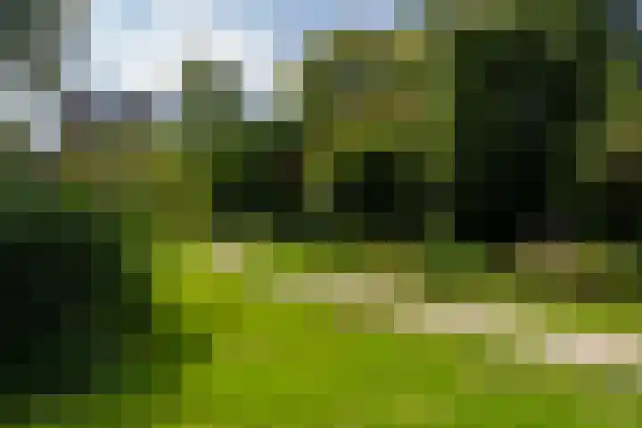 Parkzoom 35 Krimpen aan den IJssel thumbnail 46