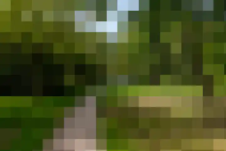 Parkzoom 35 Krimpen aan den IJssel thumbnail 48
