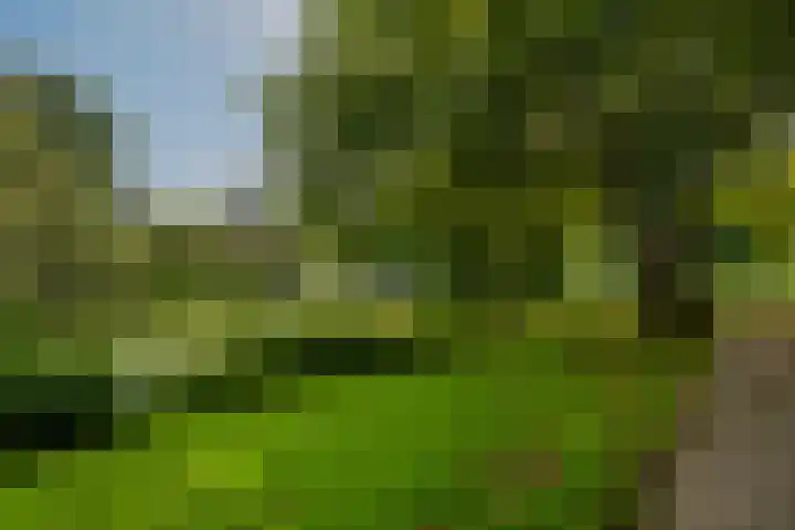 Parkzoom 35 Krimpen aan den IJssel thumbnail 50