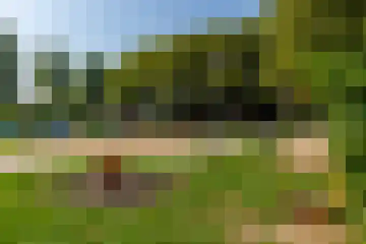 Parkzoom 35 Krimpen aan den IJssel thumbnail 51