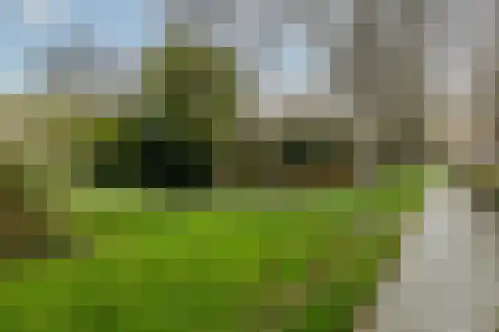 Parkzoom 36 Krimpen aan den IJssel thumbnail 33