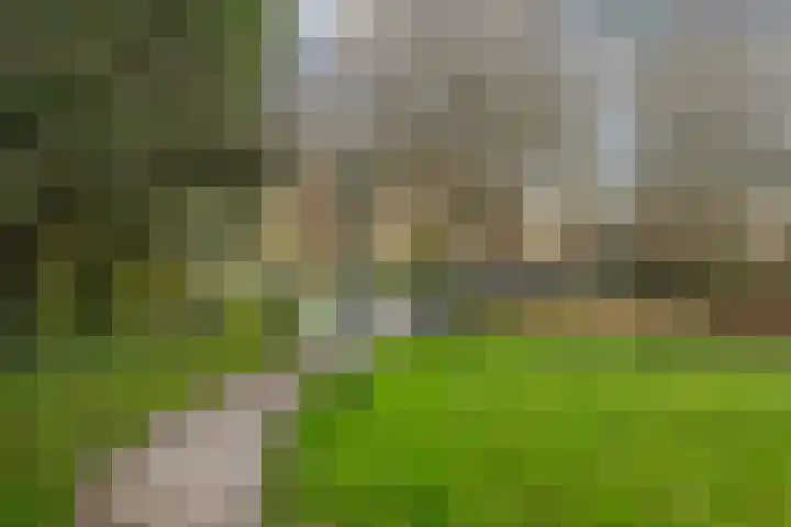 Parkzoom 36 Krimpen aan den IJssel thumbnail 34
