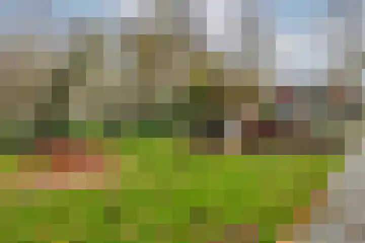 Parkzoom 36 Krimpen aan den IJssel thumbnail 37