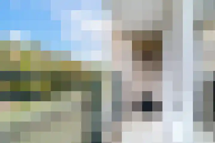Parkzoom 57 Delft thumbnail 16