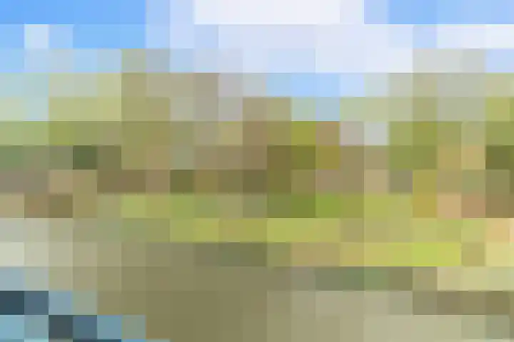 Parkzoom 57 Delft thumbnail 18