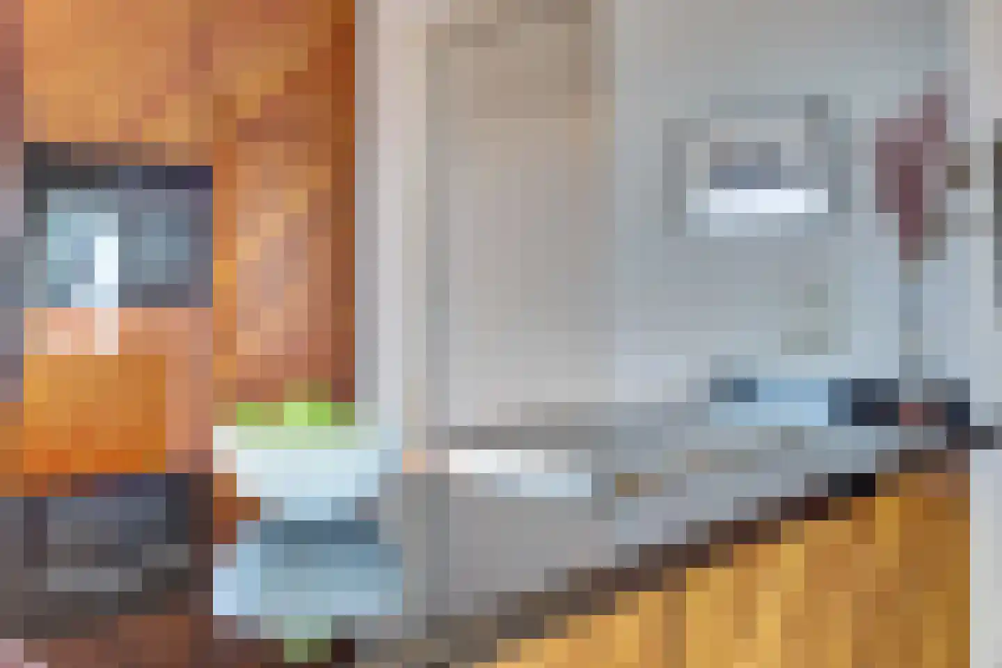 Parkzoom 97 Delft thumbnail 22