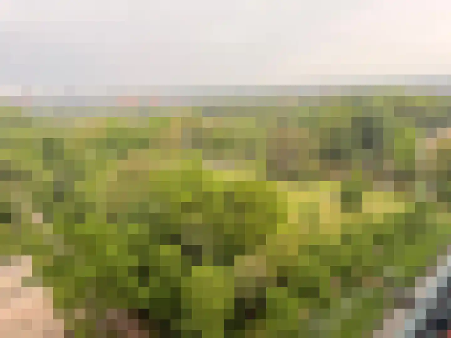 Parkzoom 97 Delft thumbnail 34