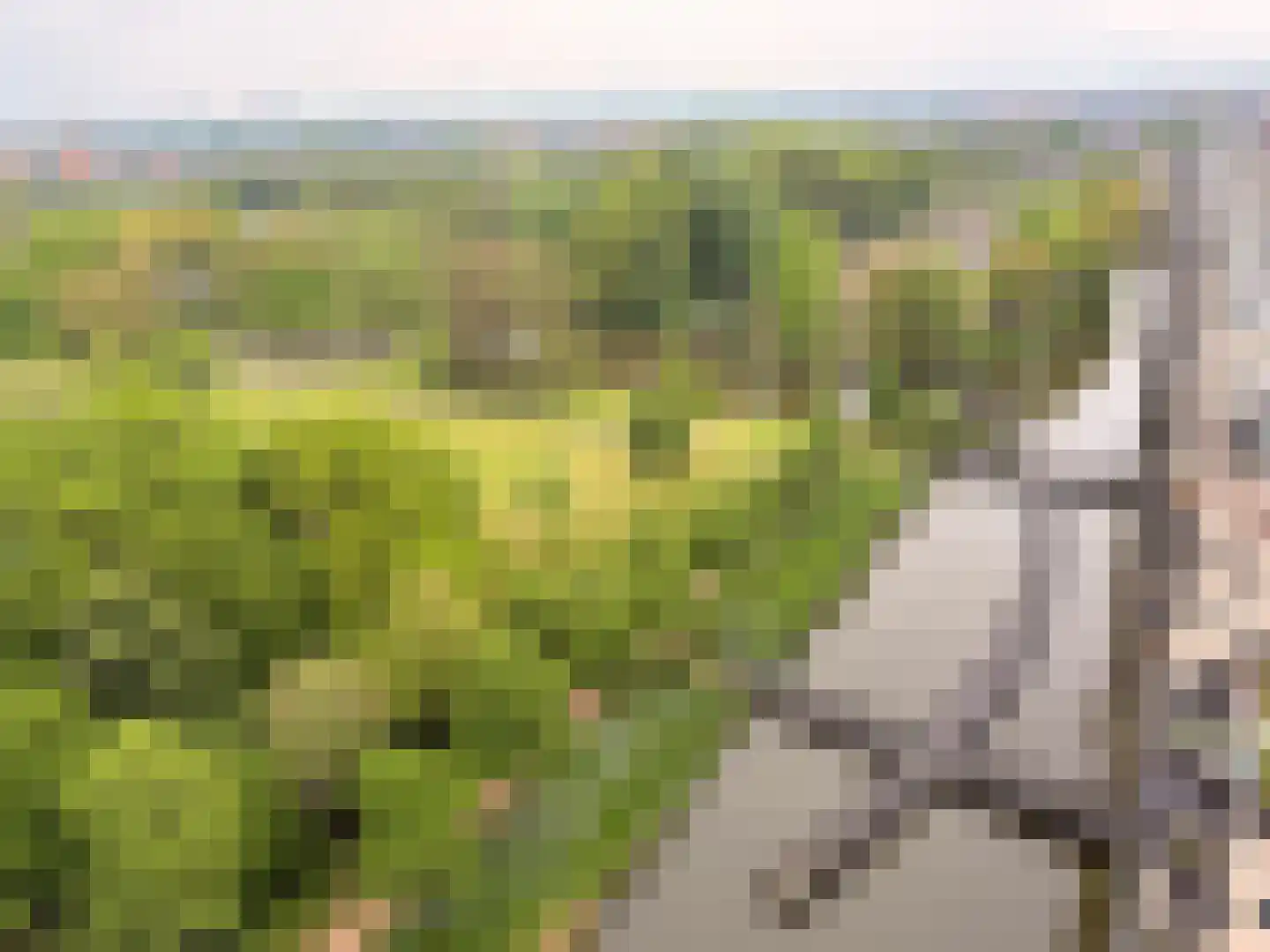 Parkzoom 97 Delft thumbnail 36