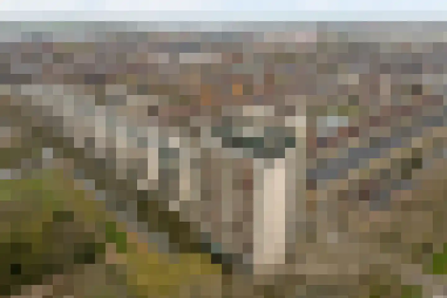 Parkzoom 97 Delft thumbnail 37