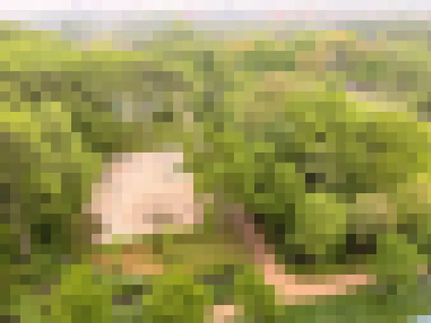 Parkzoom 97 Delft thumbnail 38