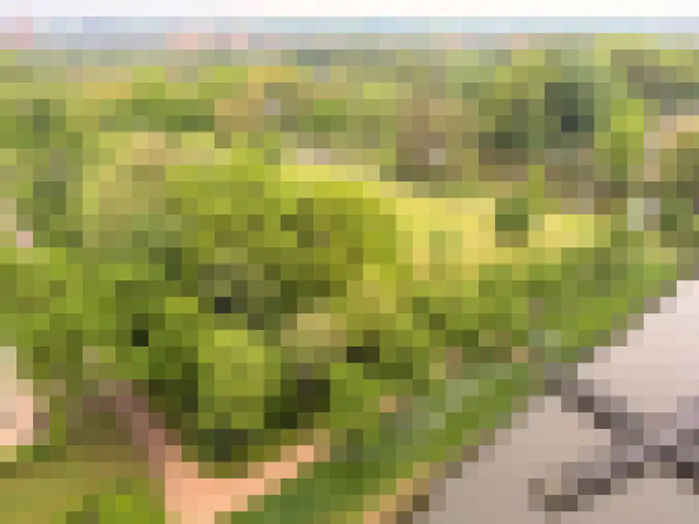 Parkzoom 97 Delft thumbnail 41