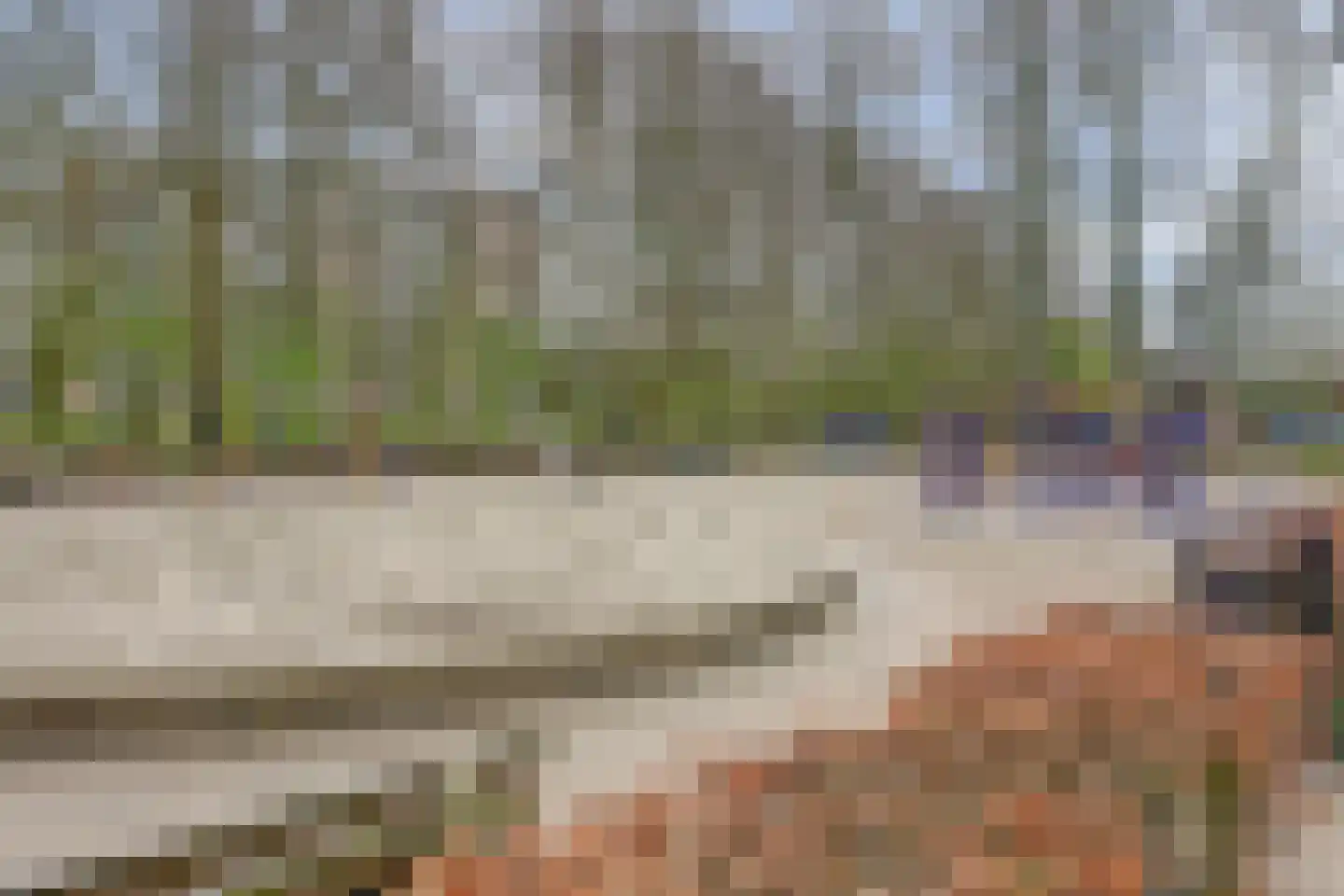 Parkzoom 97 Delft thumbnail 44