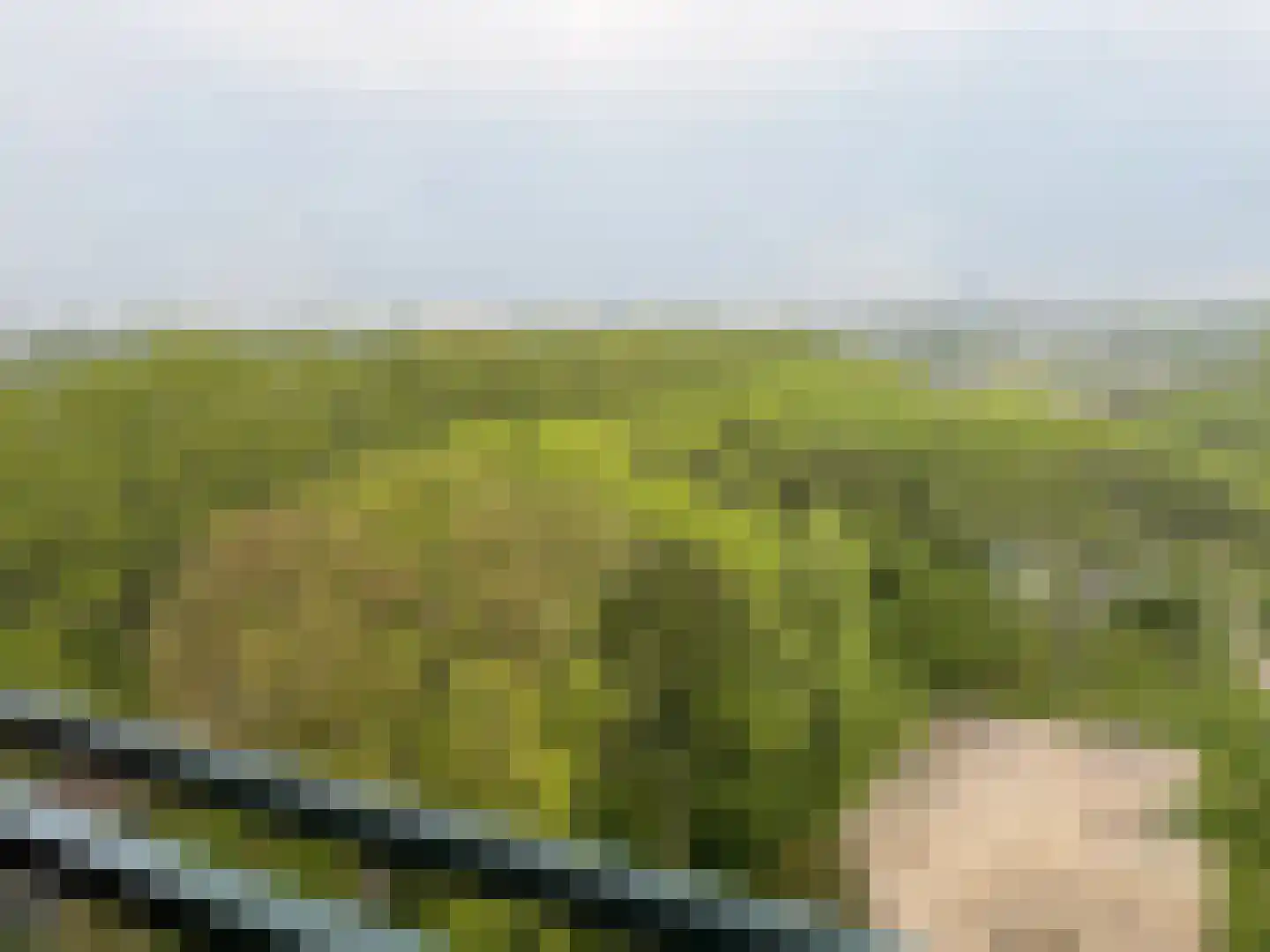 Parkzoom 97 Delft thumbnail 6