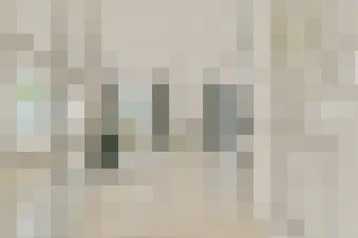 Parlevinker 18 Nieuw-Vennep thumbnail 5